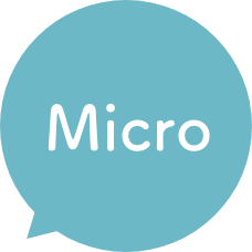 Micro