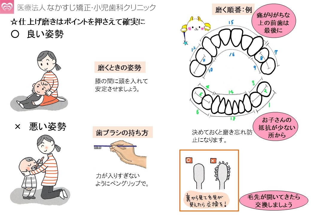 乳歯 歯磨き の 仕方