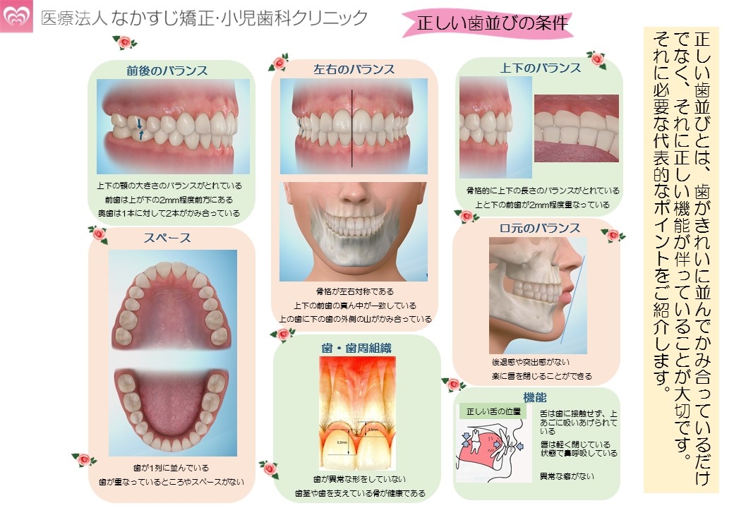 正しい噛み合わせ